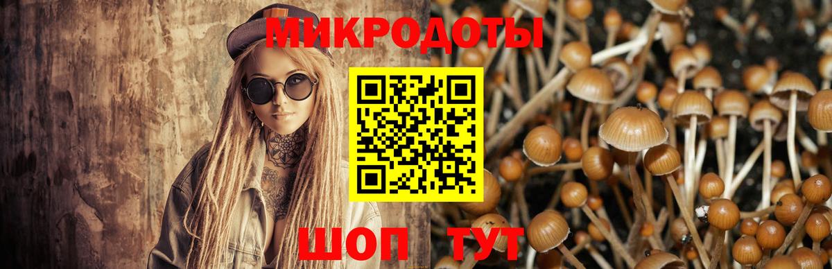 Альметьевск  Псилоцибиновые грибы мицелий  Галлюциногенные грибы мухоморы  Вход с VPN 