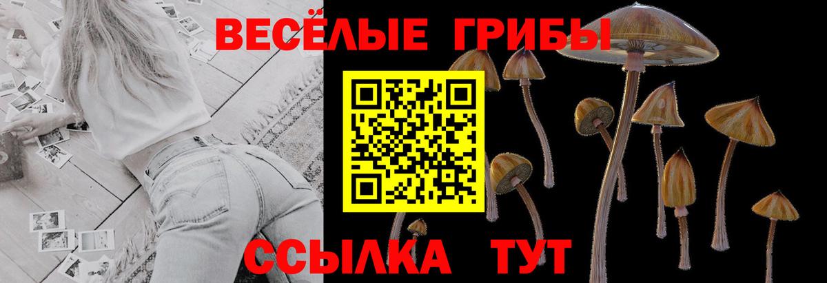 Галлюциногенные грибы прущие грибы Альметьевск